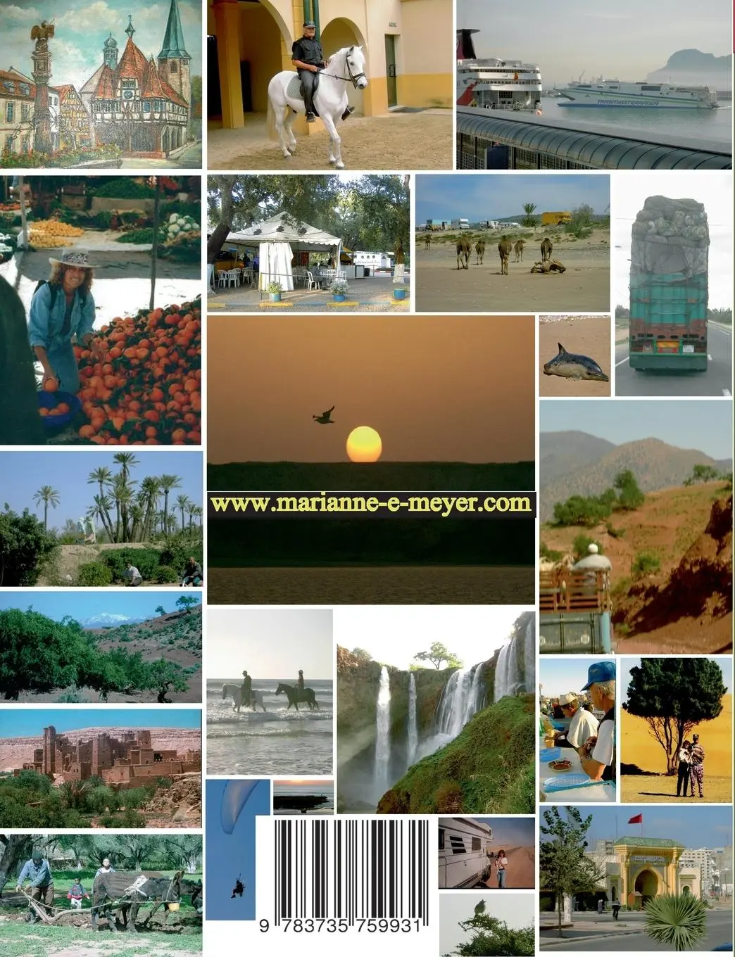 Rückseite: 9783735759931 | Zugvögel auf Rädern | Von Michelstadt nach Marrakech | Meyer | Buch