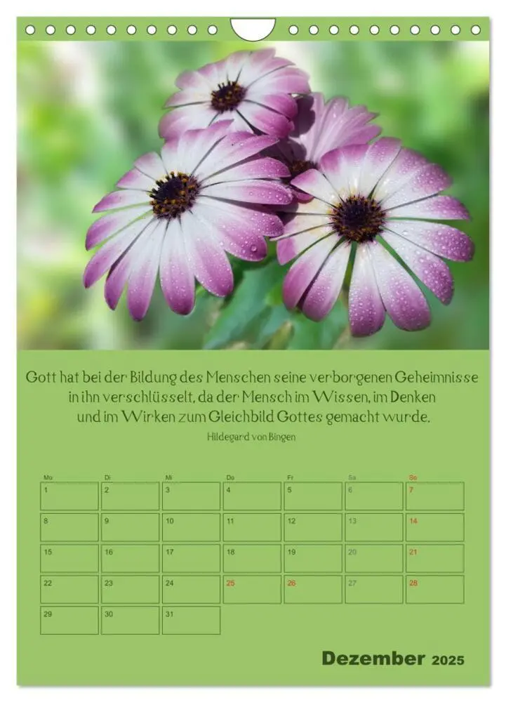 Bild: 9783457060032 | Erkenntnis und Weisheit - Hildegard von Bingen (Wandkalender 2025...