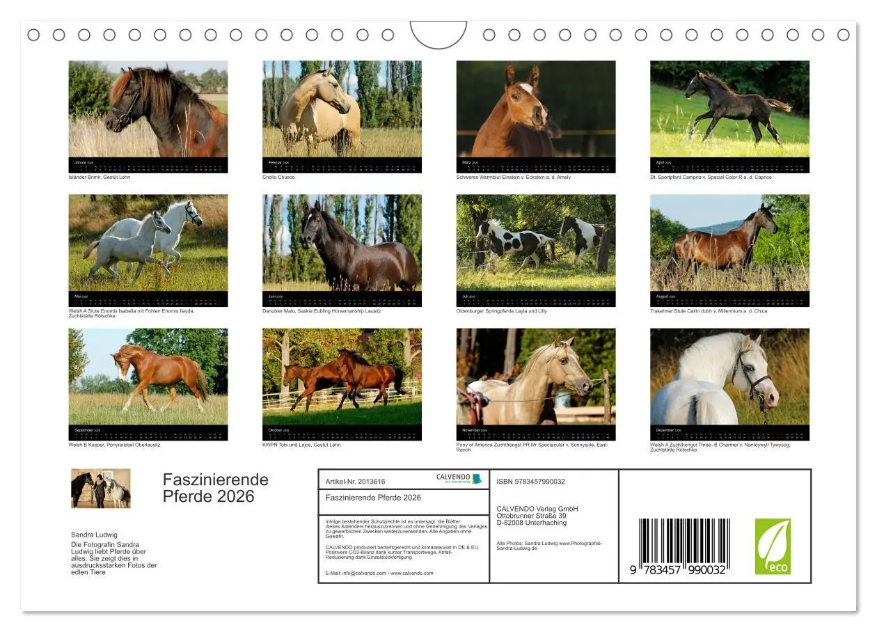 Bild: 9783457990032 | Faszinierende Pferde 2026 (Wandkalender 2026 DIN A4 quer), CALVENDO...