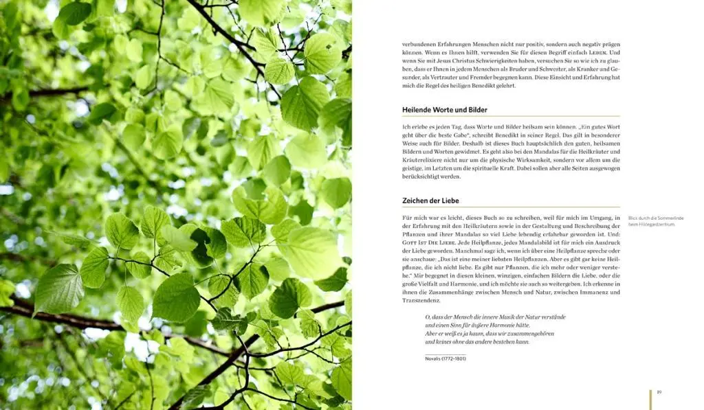 Bild: 9783710400032 | Meine Heilkräutermandalas | Johannes Pausch | Buch | 168 S. | Deutsch