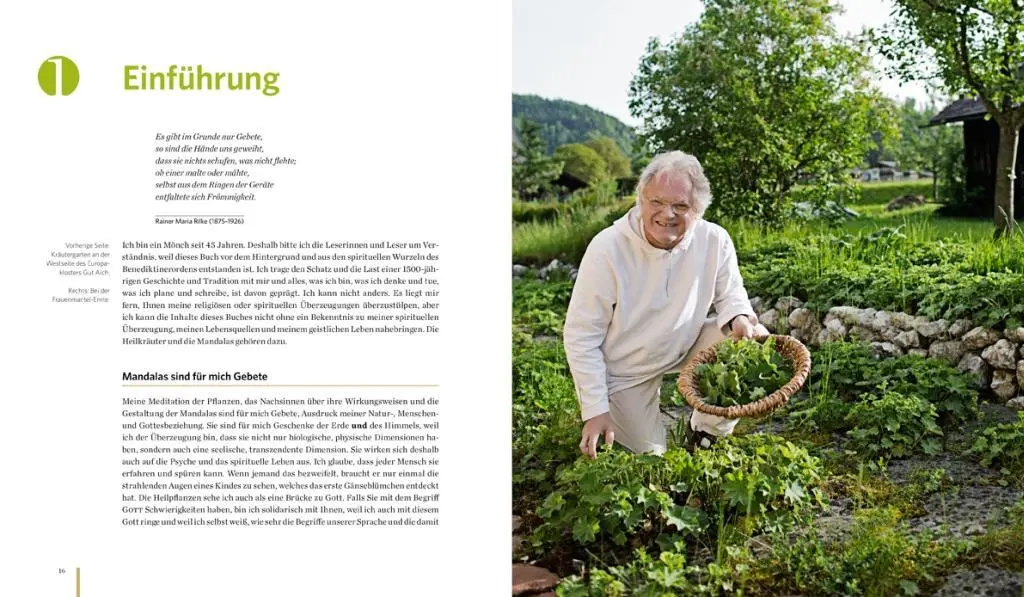 Bild: 9783710400032 | Meine Heilkräutermandalas | Johannes Pausch | Buch | 168 S. | Deutsch