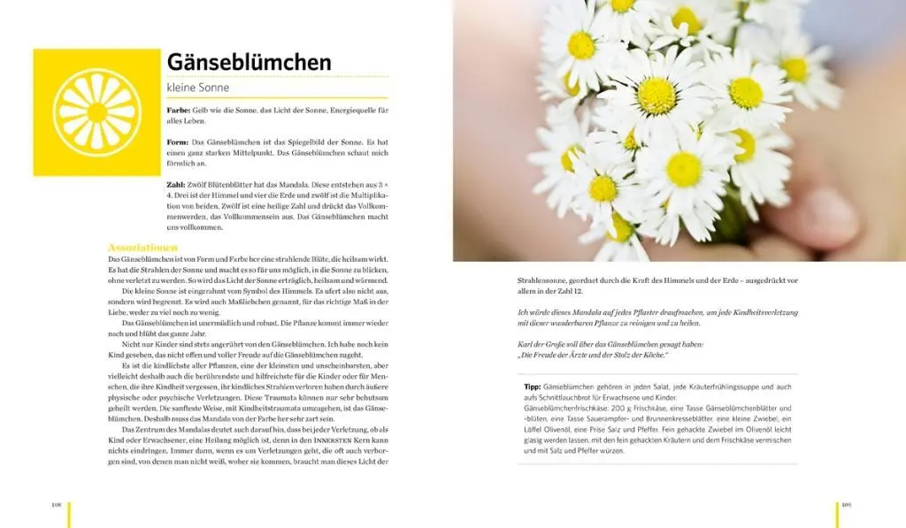 Bild: 9783710400032 | Meine Heilkräutermandalas | Johannes Pausch | Buch | 168 S. | Deutsch
