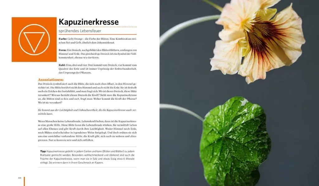 Bild: 9783710400032 | Meine Heilkräutermandalas | Johannes Pausch | Buch | 168 S. | Deutsch