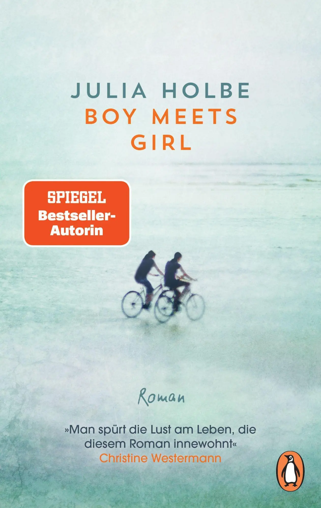 Cover: 9783328110132 | Boy meets Girl | Roman | Julia Holbe | Taschenbuch | 288 S. | Deutsch