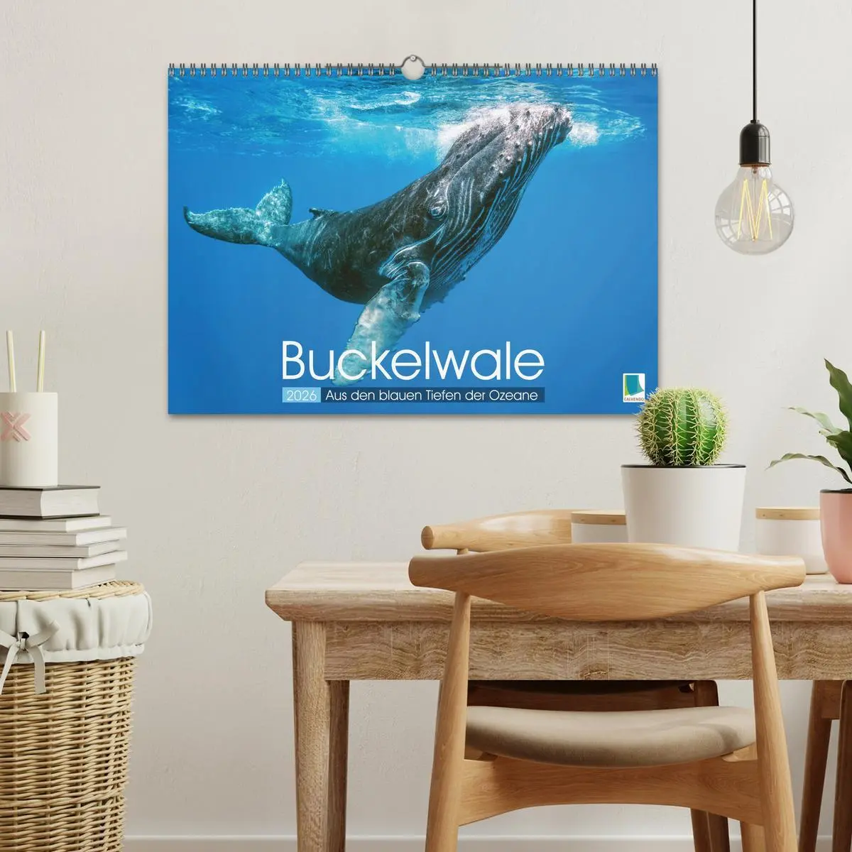 Bild: 9783457290132 | Buckelwale: Aus den blauen Tiefen der Ozeane (Wandkalender 2026 DIN...
