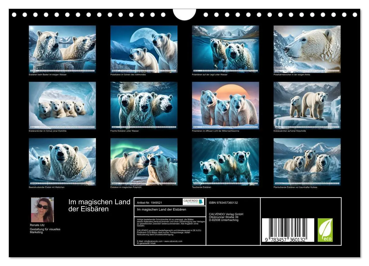 Bild: 9783457360132 | Im magischen Land der Eisbären (Wandkalender 2026 DIN A4 quer),...