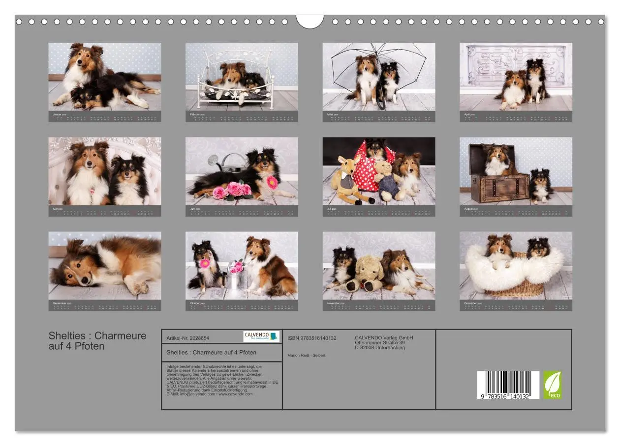 Bild: 9783516140132 | Shelties : Charmeure auf 4 Pfoten (Wandkalender 2026 DIN A3 quer),...