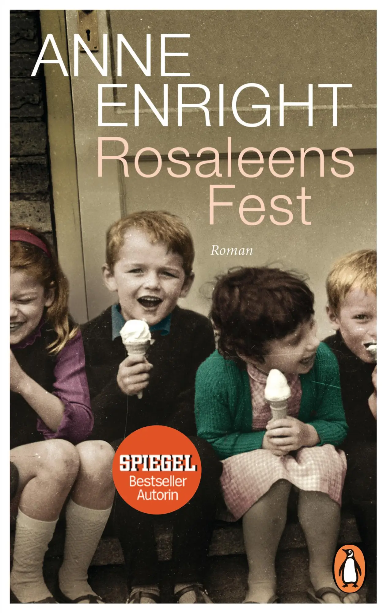 Cover: 9783328100232 | Rosaleens Fest | Anne Enright | Taschenbuch | 379 S. | Deutsch | 2016