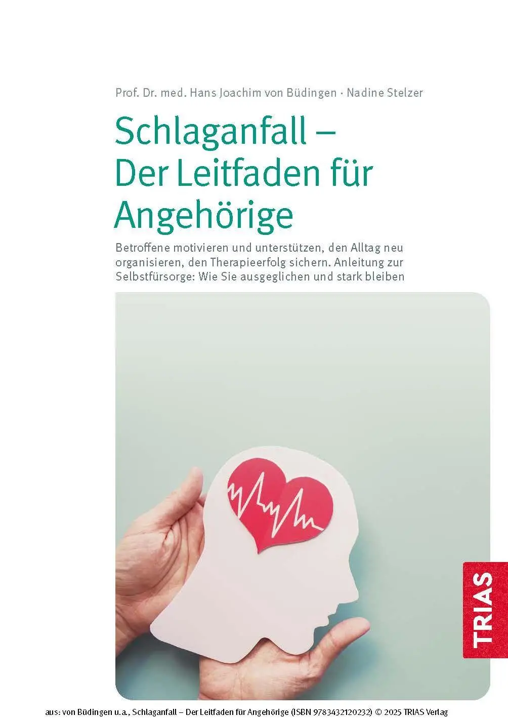 Bild: 9783432120232 | Schlaganfall - Der Leitfaden für Angehörige | Büdingen (u. a.) | Buch