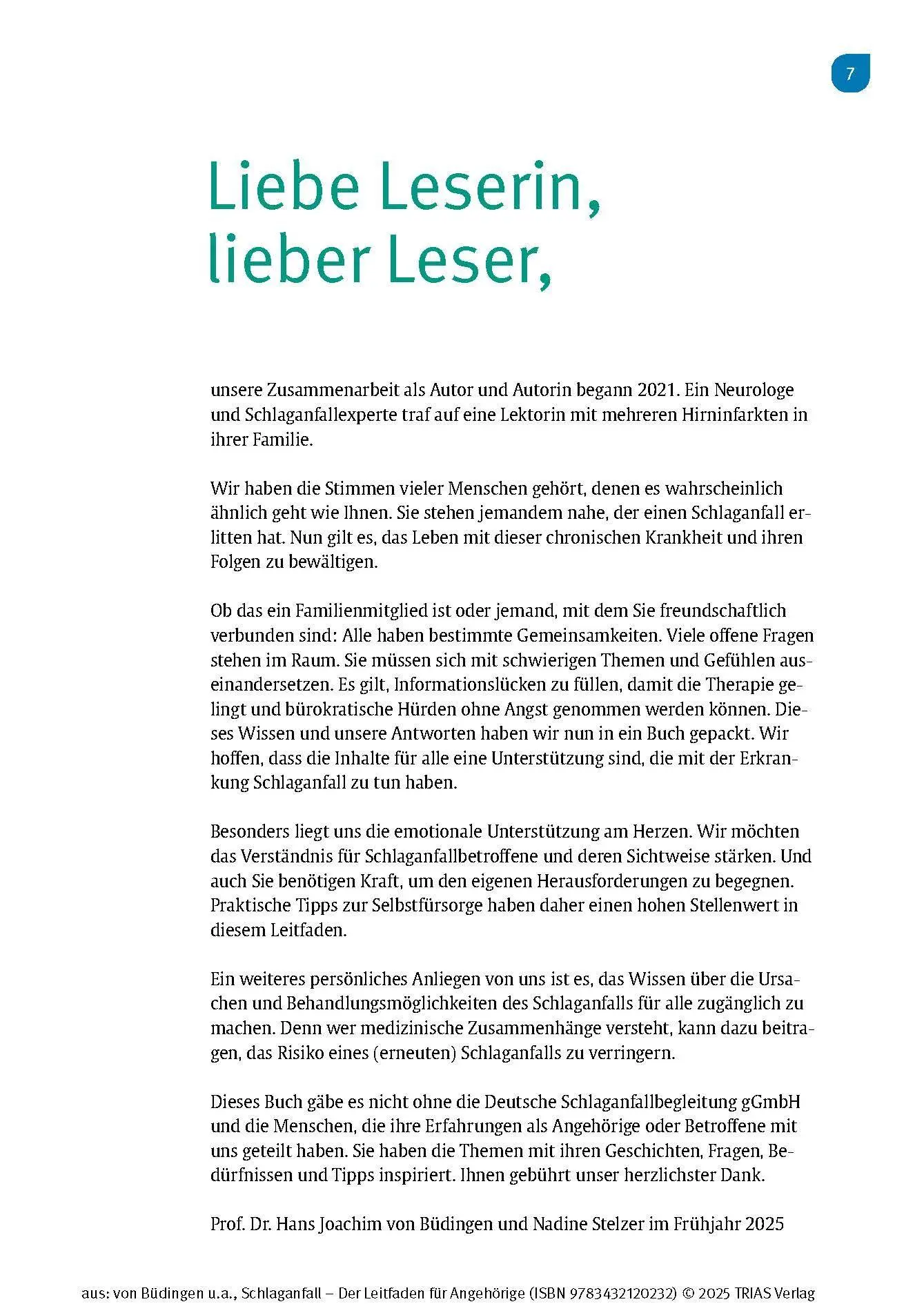 Bild: 9783432120232 | Schlaganfall - Der Leitfaden für Angehörige | Büdingen (u. a.) | Buch