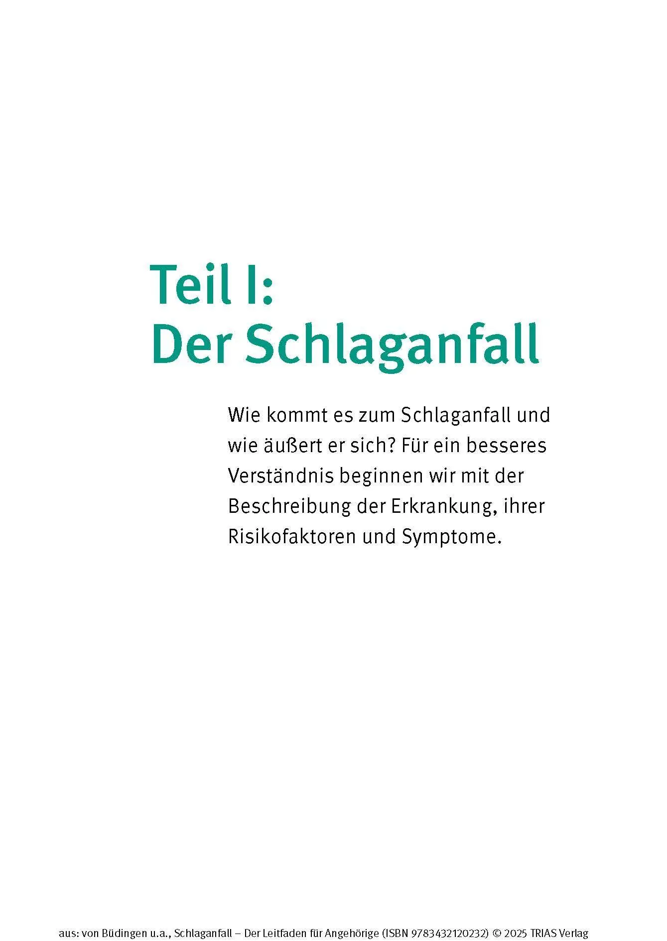 Bild: 9783432120232 | Schlaganfall - Der Leitfaden für Angehörige | Büdingen (u. a.) | Buch