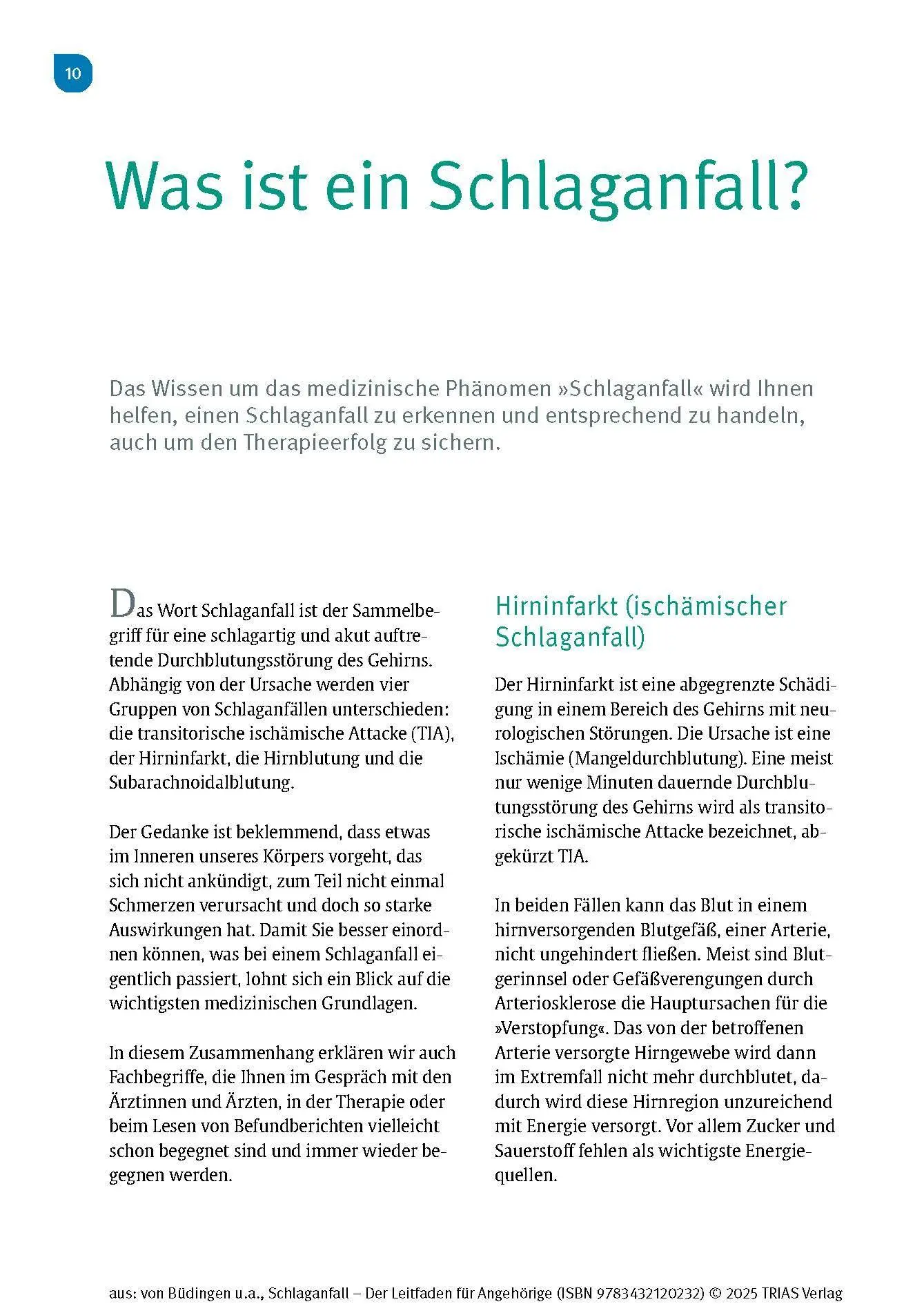 Bild: 9783432120232 | Schlaganfall - Der Leitfaden für Angehörige | Büdingen (u. a.) | Buch