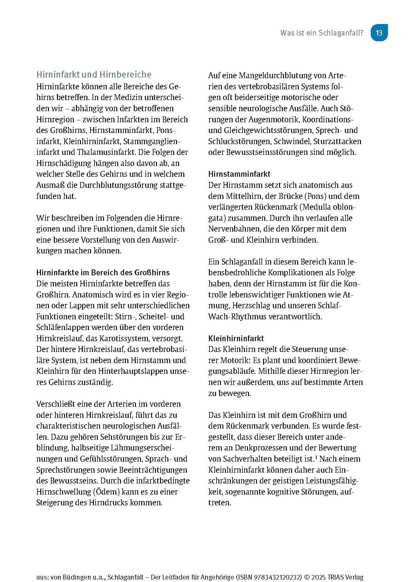 Bild: 9783432120232 | Schlaganfall - Der Leitfaden für Angehörige | Büdingen (u. a.) | Buch