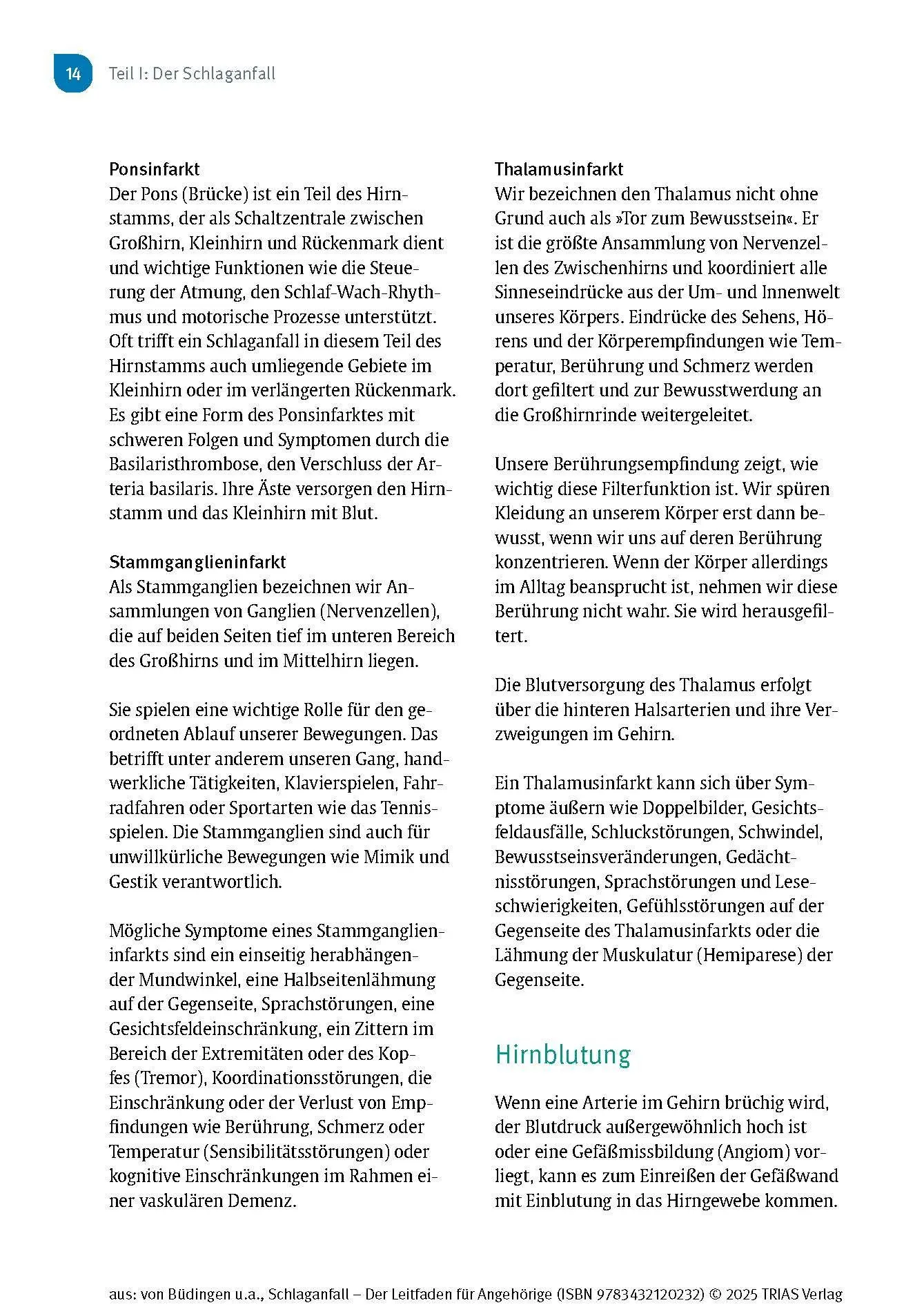 Bild: 9783432120232 | Schlaganfall - Der Leitfaden für Angehörige | Büdingen (u. a.) | Buch