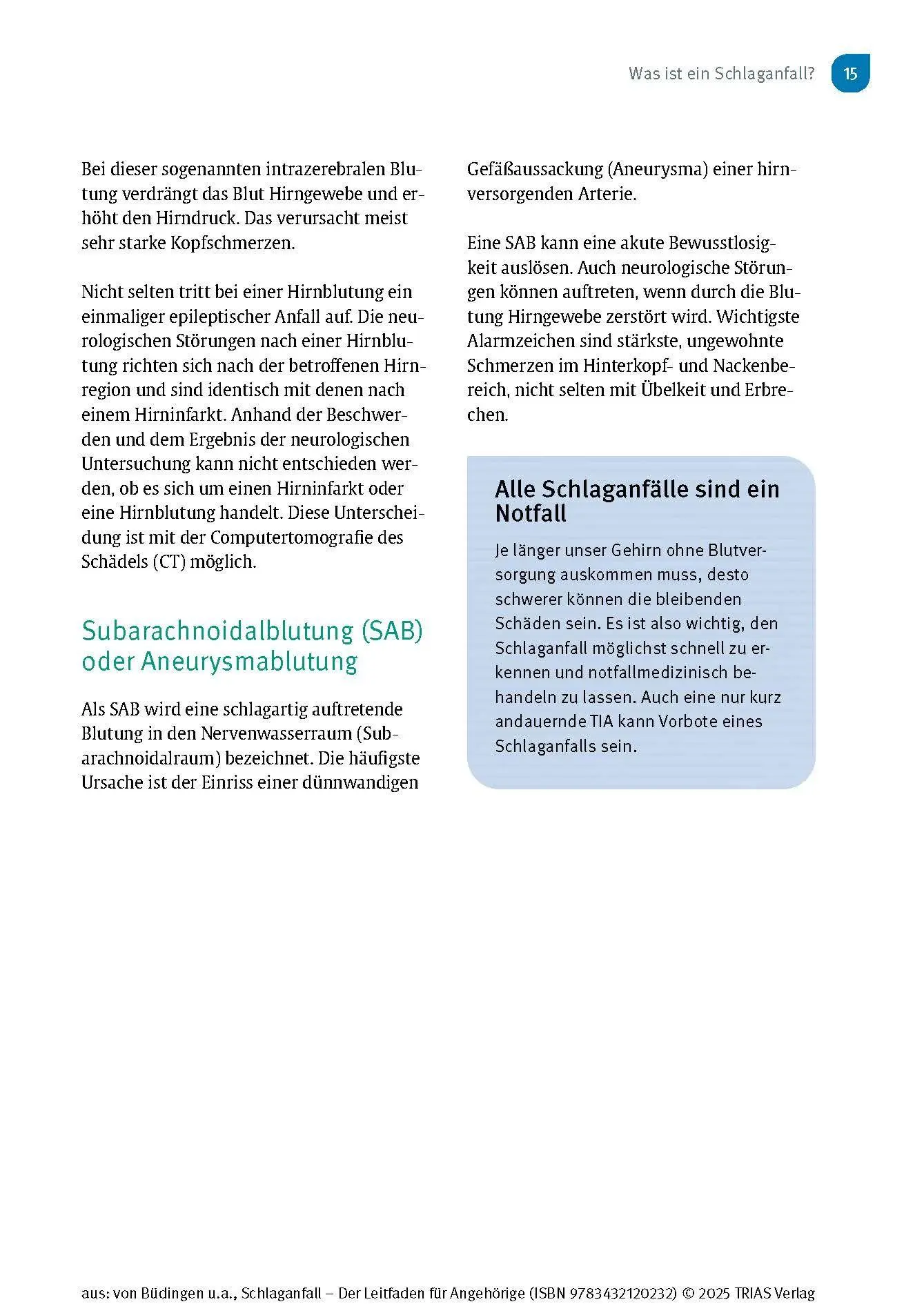 Bild: 9783432120232 | Schlaganfall - Der Leitfaden für Angehörige | Büdingen (u. a.) | Buch