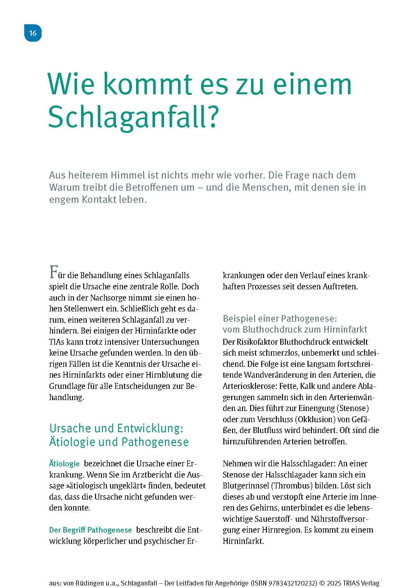 Bild: 9783432120232 | Schlaganfall - Der Leitfaden für Angehörige | Büdingen (u. a.) | Buch