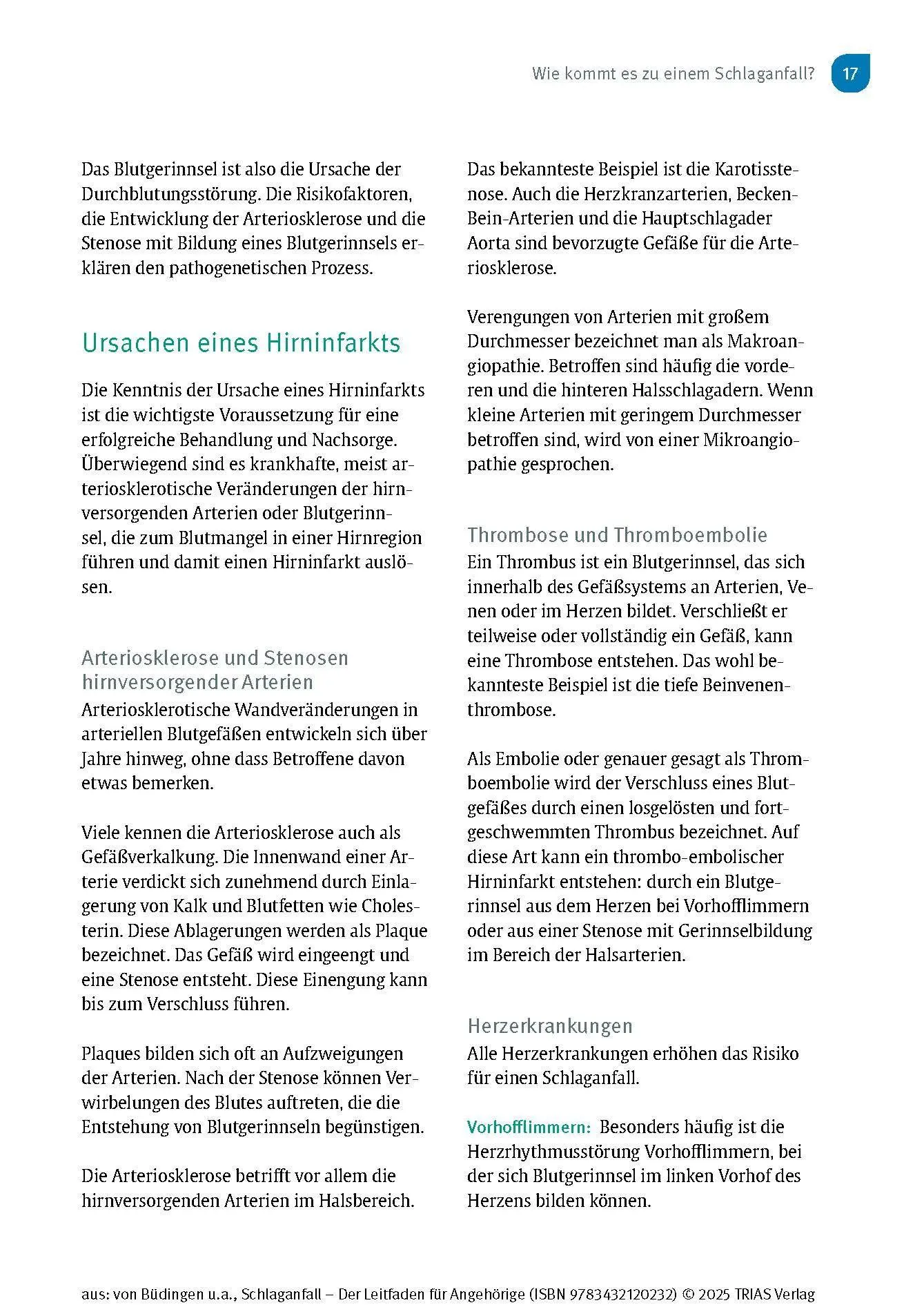 Bild: 9783432120232 | Schlaganfall - Der Leitfaden für Angehörige | Büdingen (u. a.) | Buch