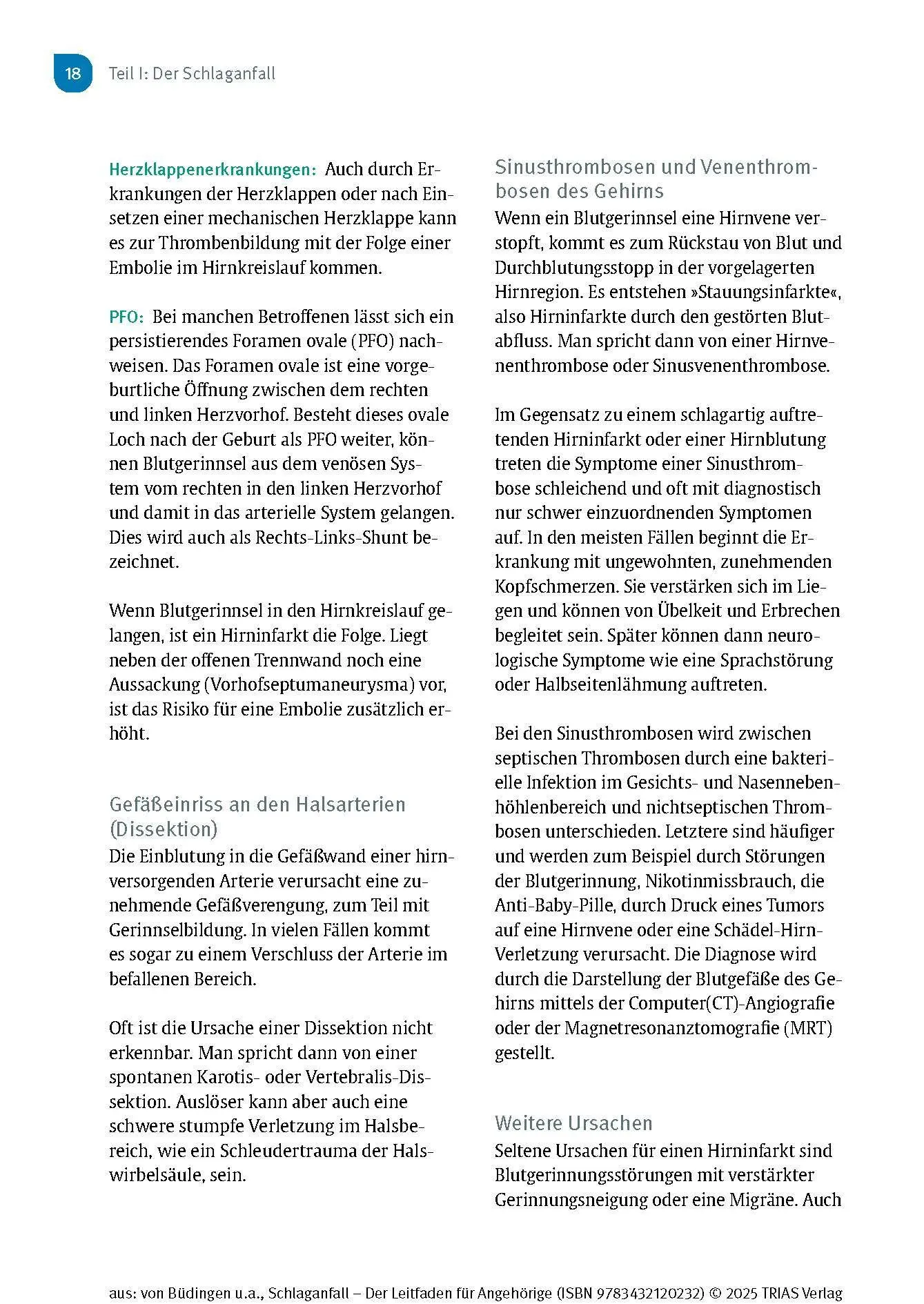 Bild: 9783432120232 | Schlaganfall - Der Leitfaden für Angehörige | Büdingen (u. a.) | Buch