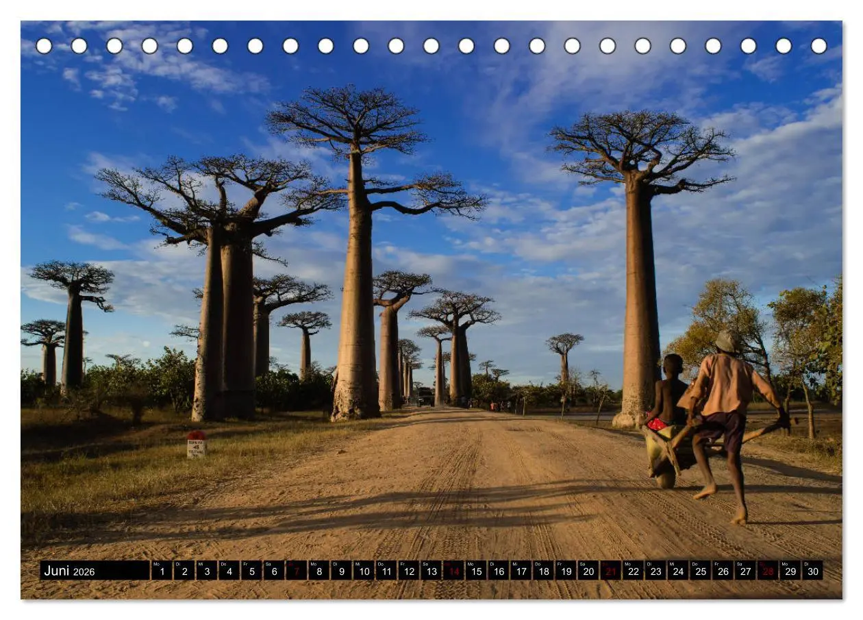 Bild: 9783457730232 | Madagaskar - Impressionen von Rolf Dietz (Tischkalender 2026 DIN A5...