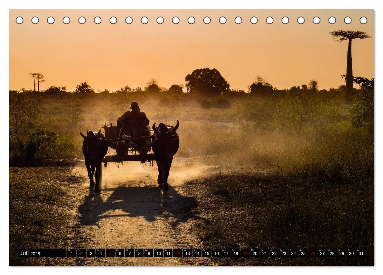 Bild: 9783457730232 | Madagaskar - Impressionen von Rolf Dietz (Tischkalender 2026 DIN A5...