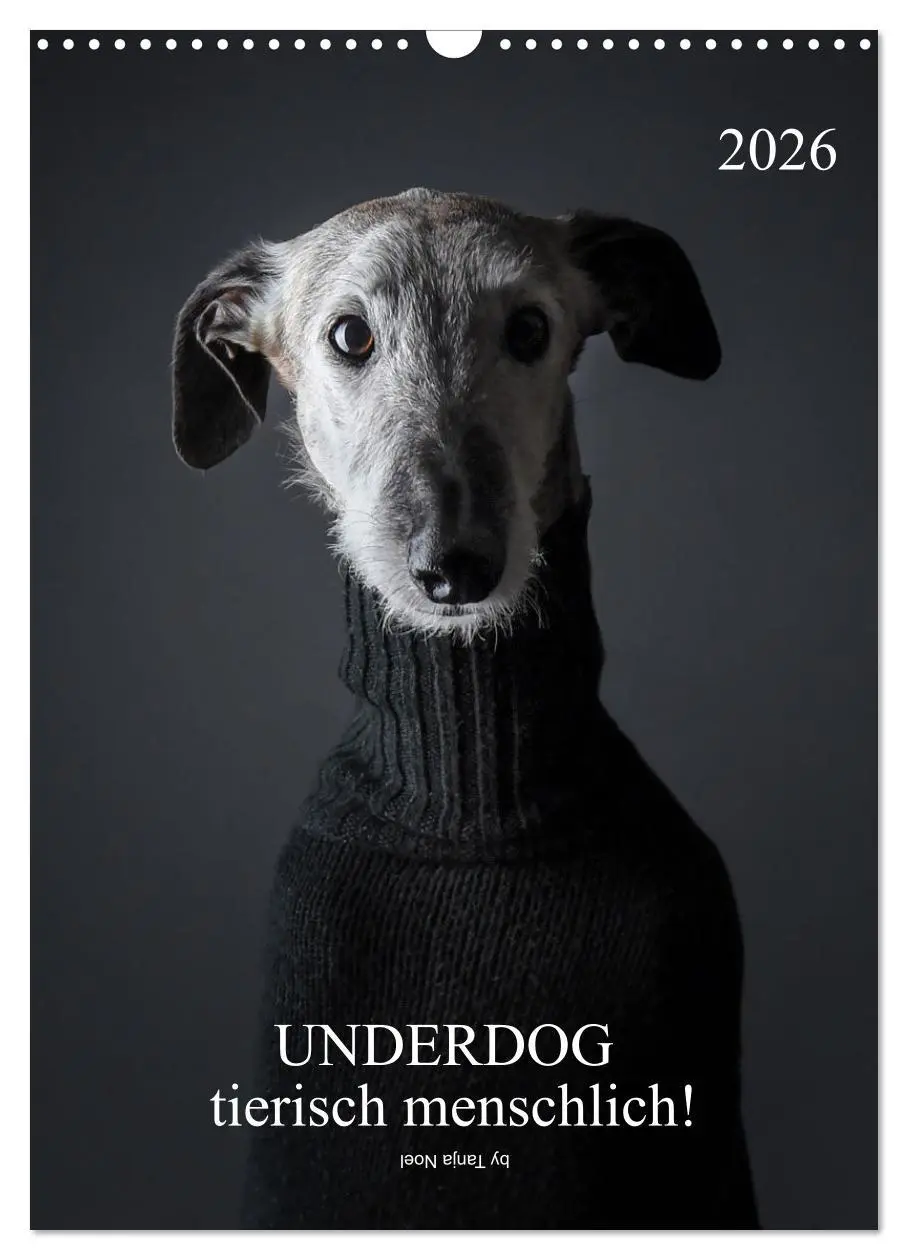 Cover: 9783516370232 | UNDERDOG - Windhundportraits (Wandkalender 2026 DIN A3 hoch),...