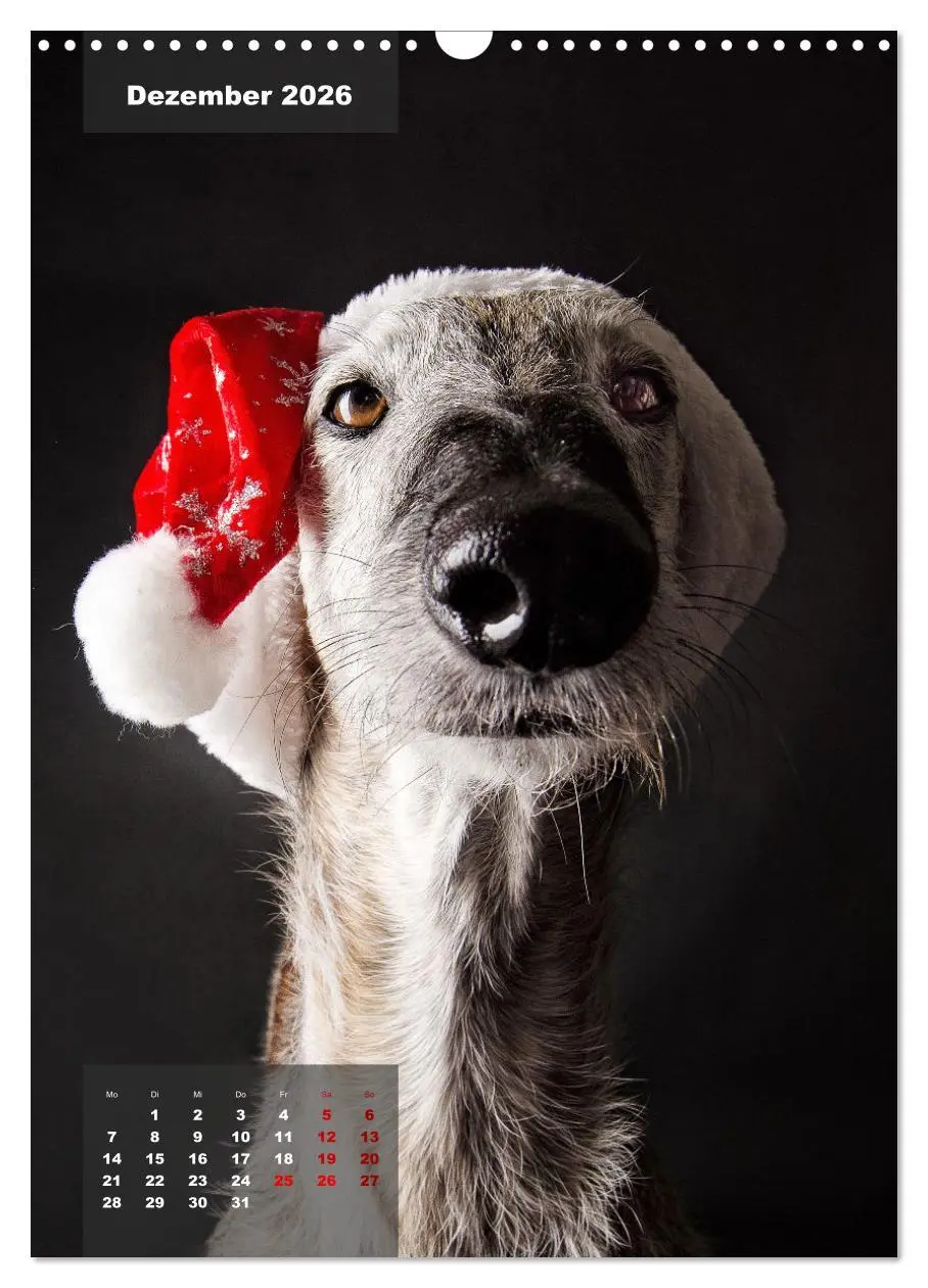 Bild: 9783516370232 | UNDERDOG - Windhundportraits (Wandkalender 2026 DIN A3 hoch),...