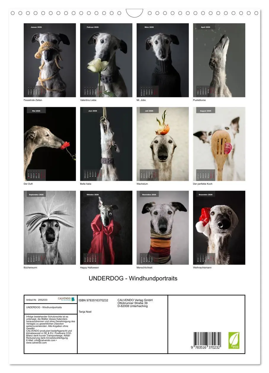 Bild: 9783516370232 | UNDERDOG - Windhundportraits (Wandkalender 2026 DIN A3 hoch),...