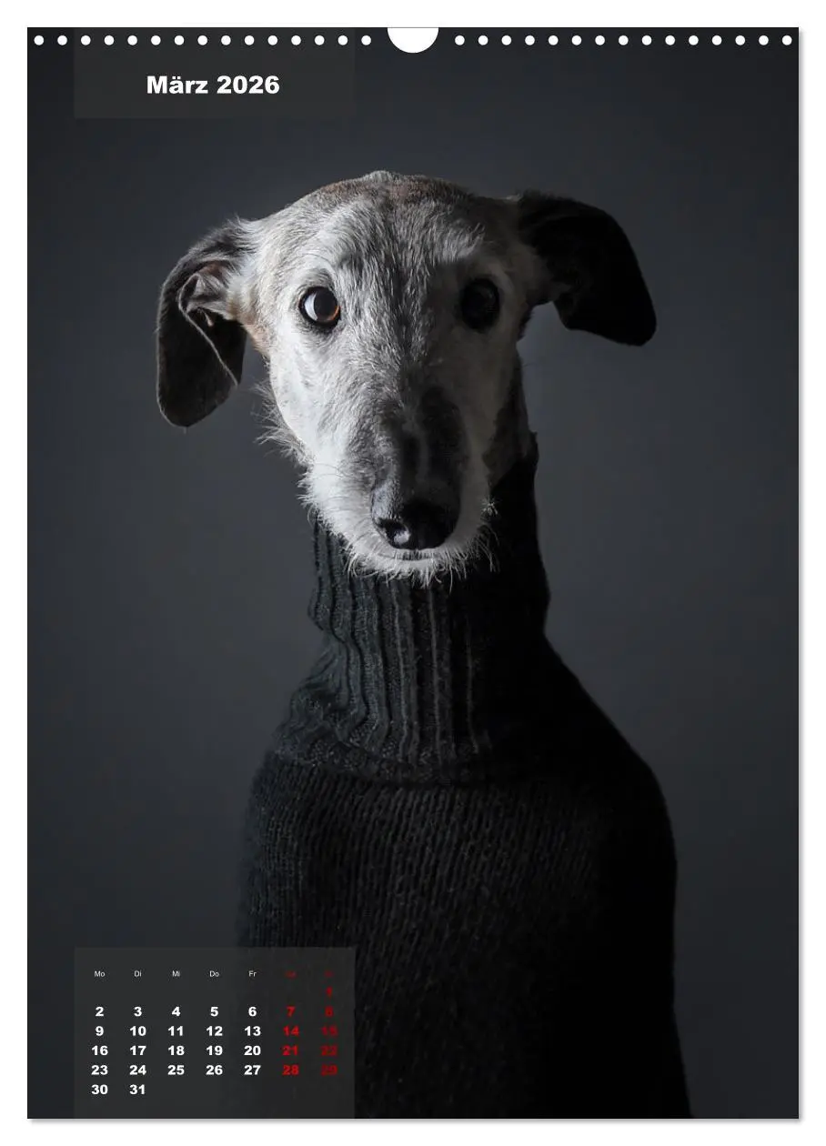 Bild: 9783516370232 | UNDERDOG - Windhundportraits (Wandkalender 2026 DIN A3 hoch),...