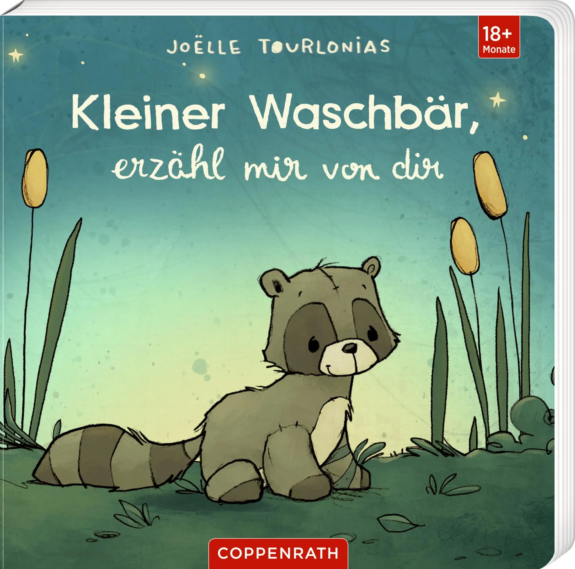 Cover: 9783649650232 | Liebling: Kleiner Waschbär, erzähl mir von dir | Joëlle Tourlonias
