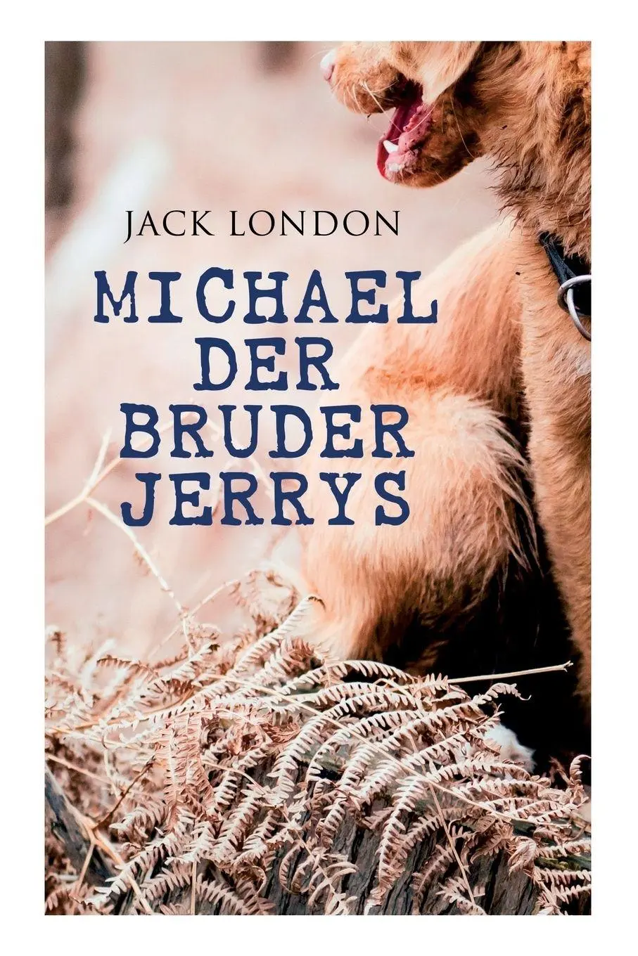 Cover: 9788026890232 | Michael der Bruder Jerrys | Jack London (u. a.) | Taschenbuch | 2018