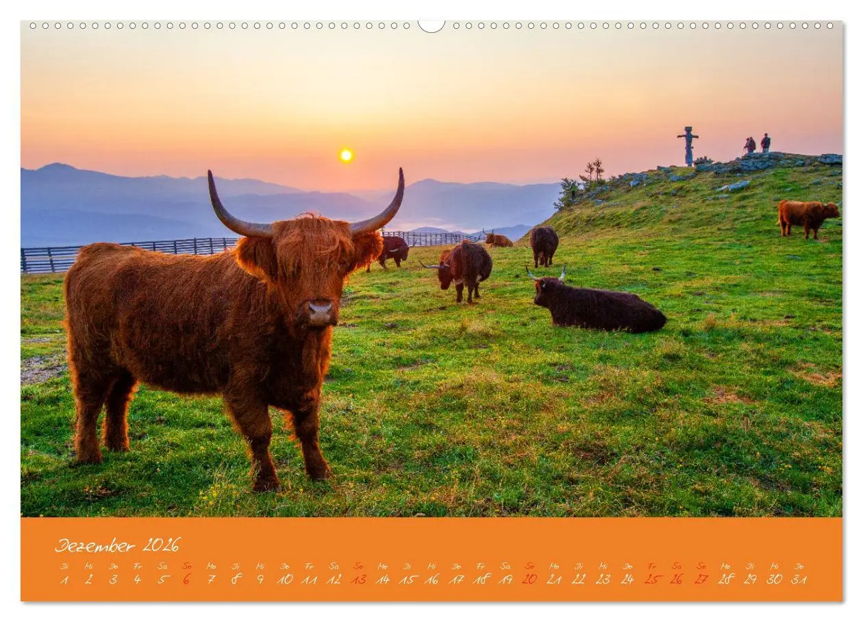 Bild: 9783457270332 | Friedliche Kühe (hochwertiger Premium Wandkalender 2026 DIN A2...