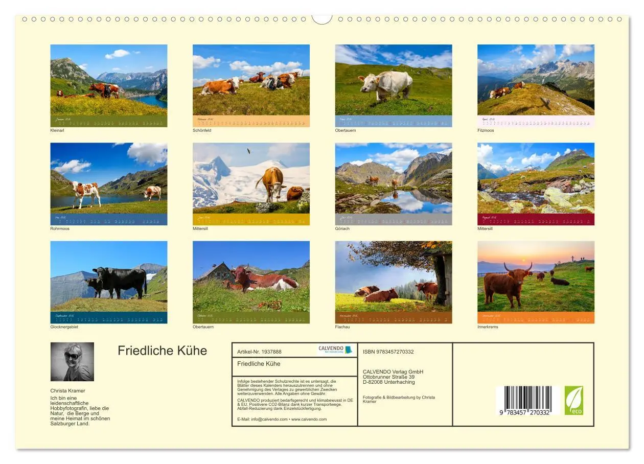 Bild: 9783457270332 | Friedliche Kühe (hochwertiger Premium Wandkalender 2026 DIN A2...