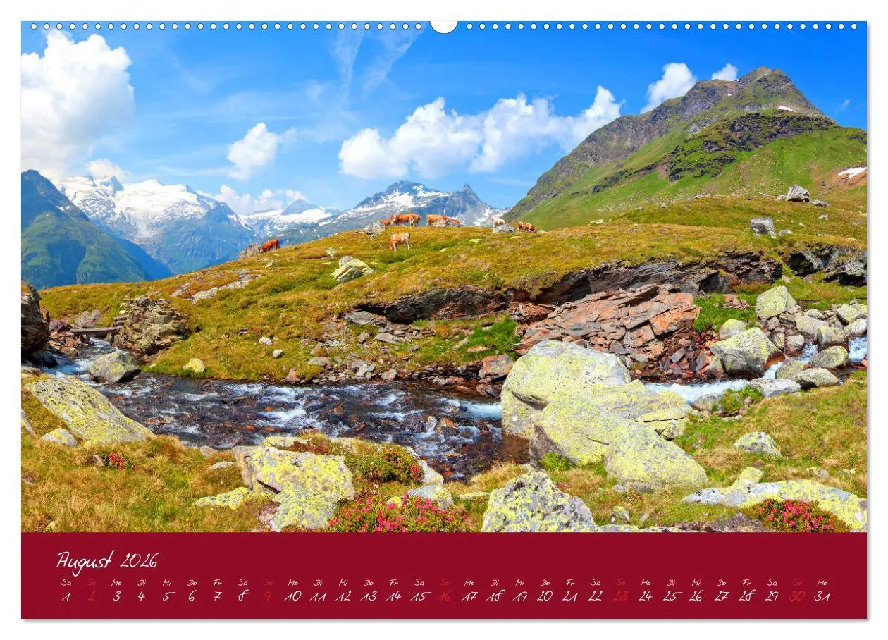 Bild: 9783457270332 | Friedliche Kühe (hochwertiger Premium Wandkalender 2026 DIN A2...