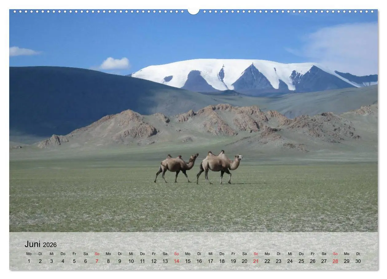 Bild: 9783516050332 | Kamele in der Wüstensonne (hochwertiger Premium Wandkalender 2026...