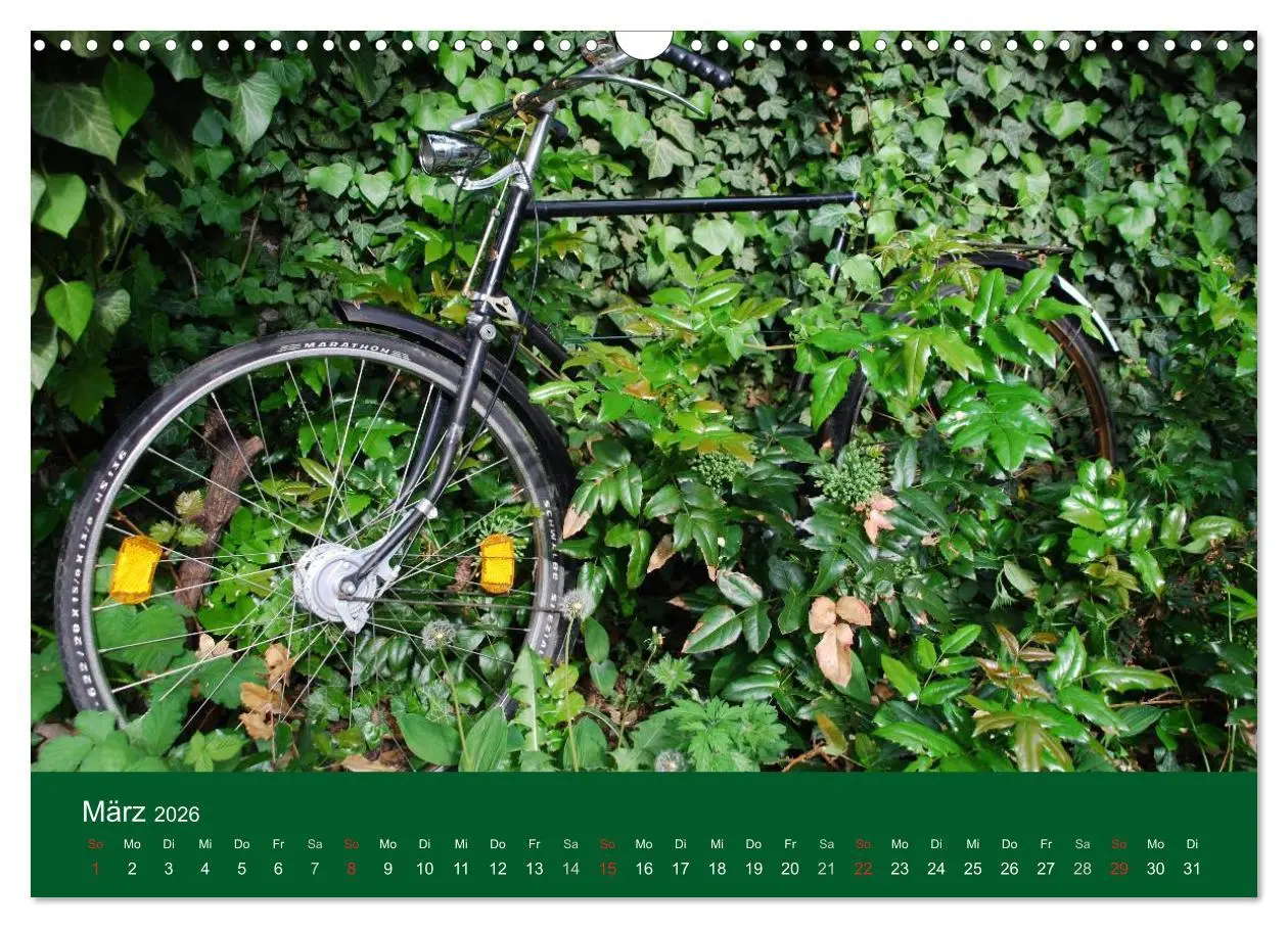 Bild: 9783516120332 | Das Fahrrad 2026 (Wandkalender 2026 DIN A3 quer), CALVENDO...