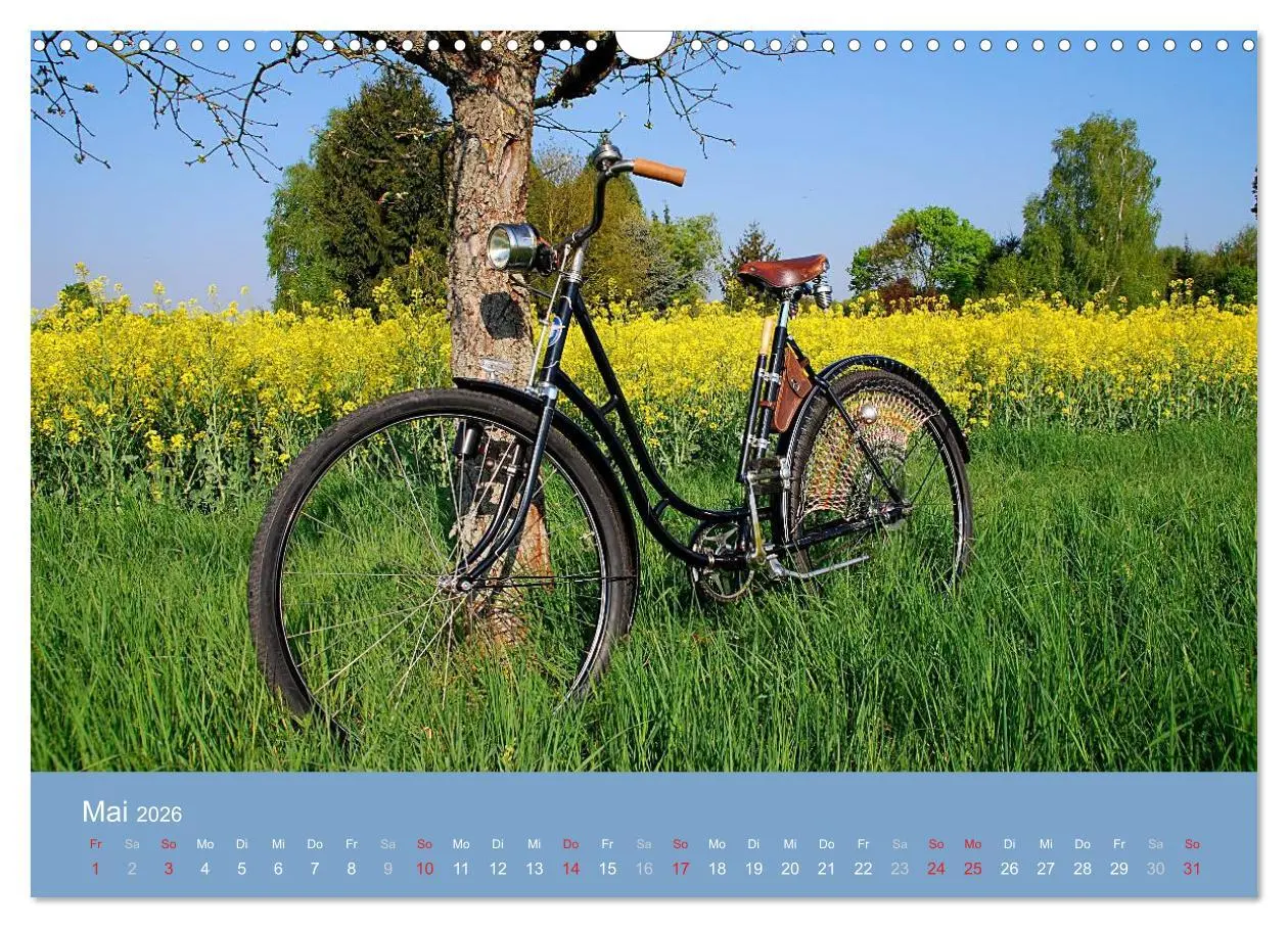 Bild: 9783516120332 | Das Fahrrad 2026 (Wandkalender 2026 DIN A3 quer), CALVENDO...