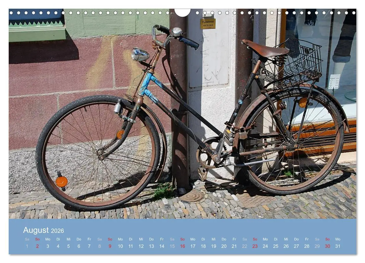 Bild: 9783516120332 | Das Fahrrad 2026 (Wandkalender 2026 DIN A3 quer), CALVENDO...