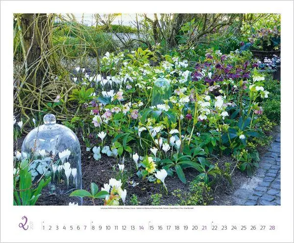Bild: 9783819300332 | Gartenträume 2027 | Verlag Korsch | Kalender | Spiralbindung | 14 S.