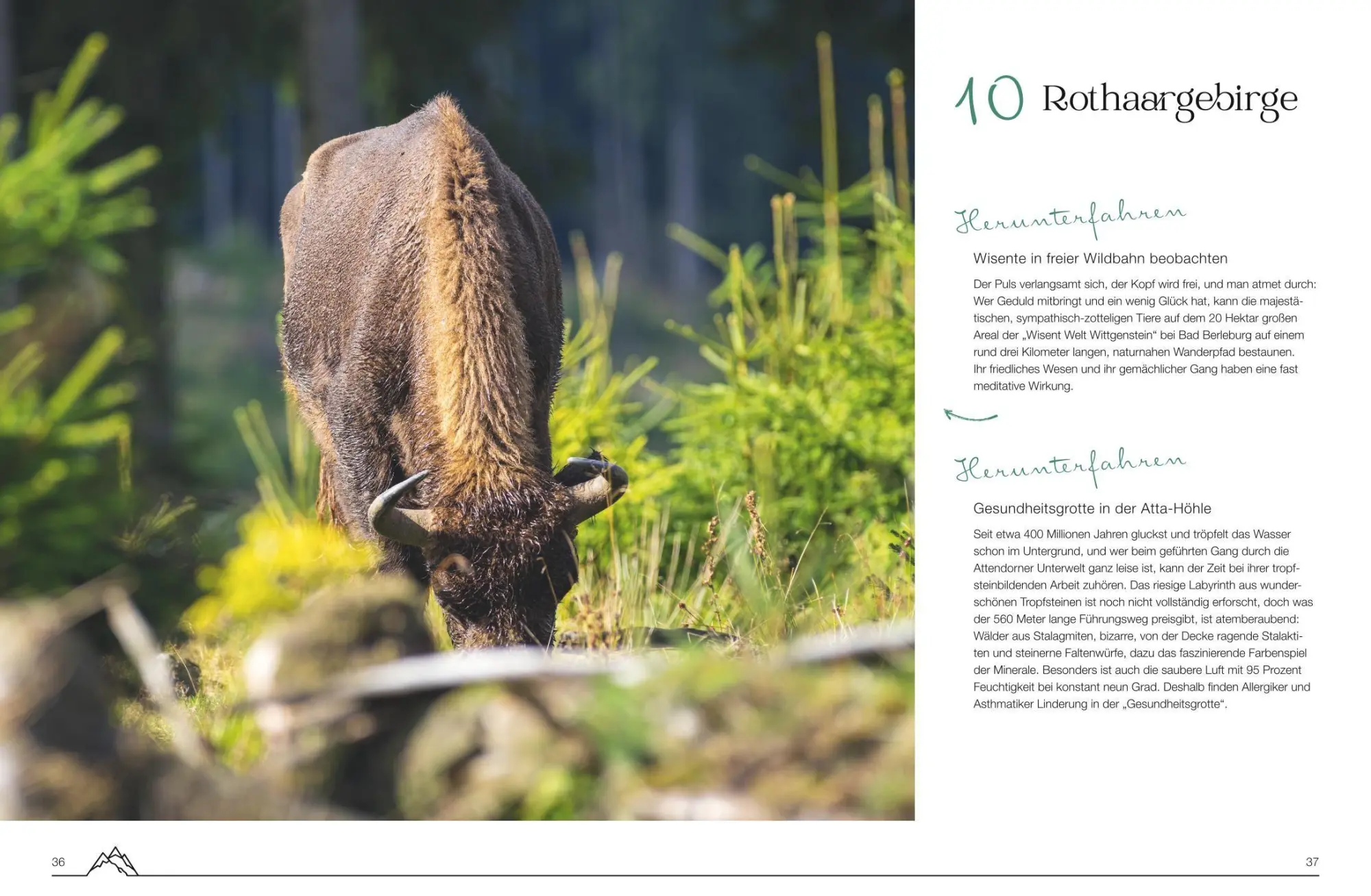 Bild: 9783846410332 | Slow Weekends - die schönsten Slow Travel Erlebnisse in und um...