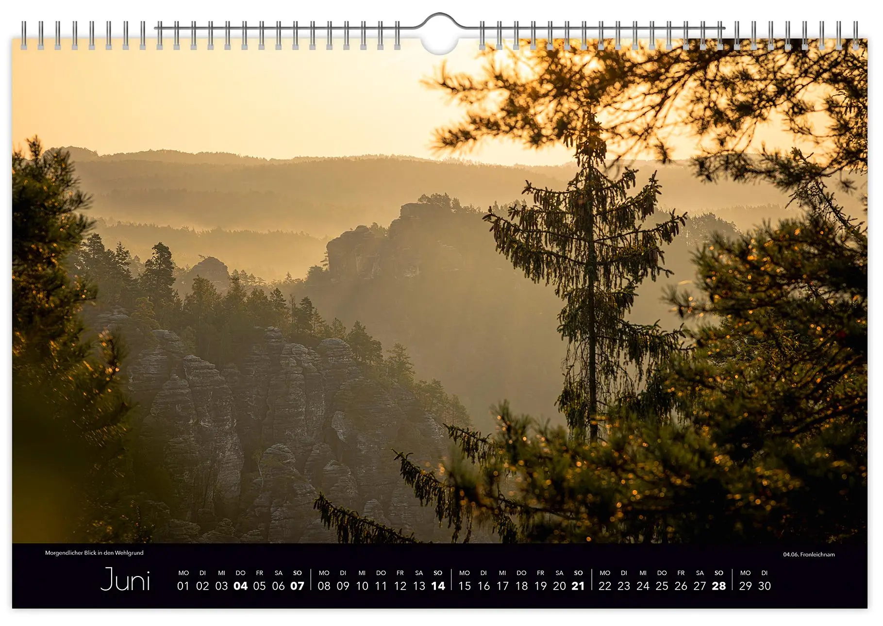 Bild: 9783910680432 | Kalender Faszinierende Sächsische Schweiz 2026 | Peter Schubert | 2026