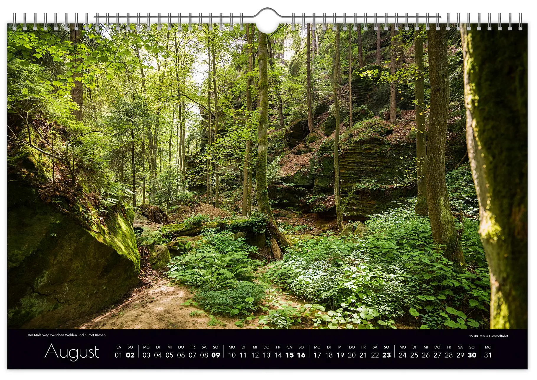 Bild: 9783910680432 | Kalender Faszinierende Sächsische Schweiz 2026 | Peter Schubert | 2026