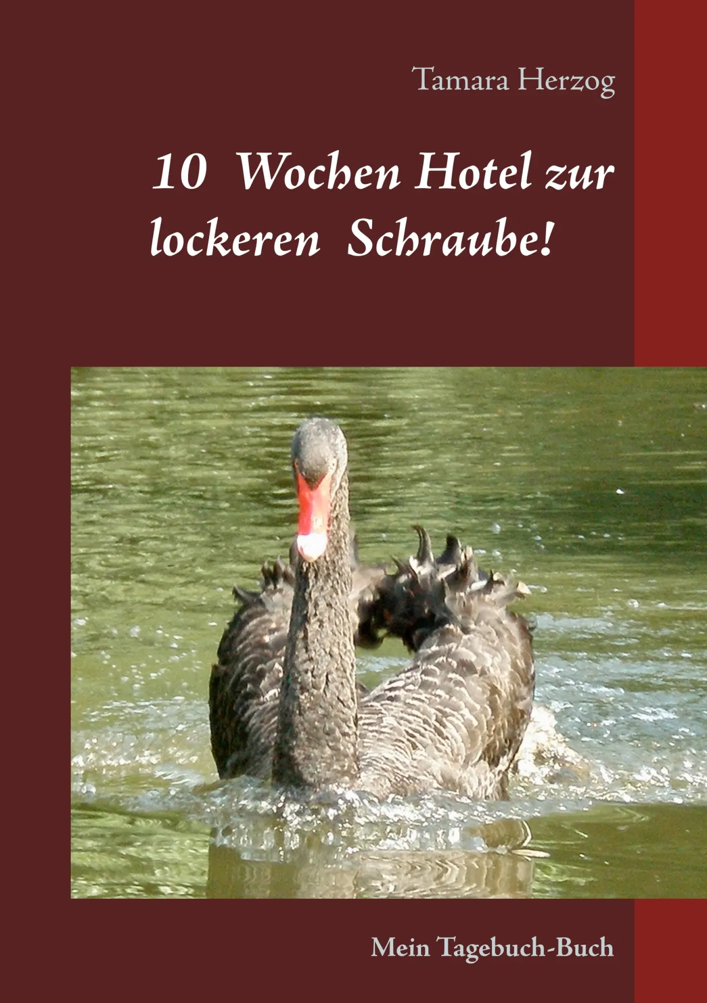 Cover: 9783750430532 | 10 Wochen Hotel zur lockeren Schraube | Mein Tagebuch-Buch | Herzog