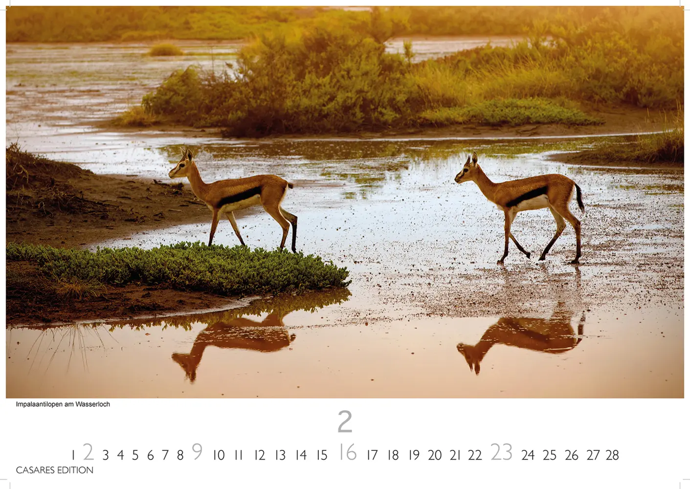 Bild: 9781835240632 | Namibia 2025 S 24x35 cm | Kalender | Deutsch | 2025 | Casares Edition
