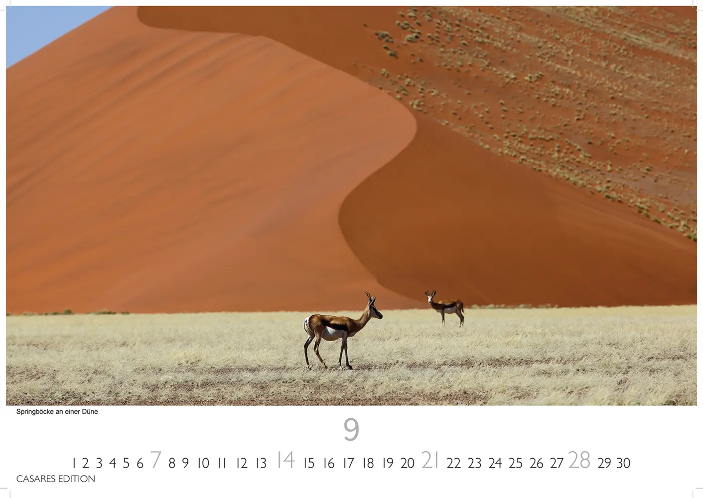 Bild: 9781835240632 | Namibia 2025 S 24x35 cm | Kalender | Deutsch | 2025 | Casares Edition