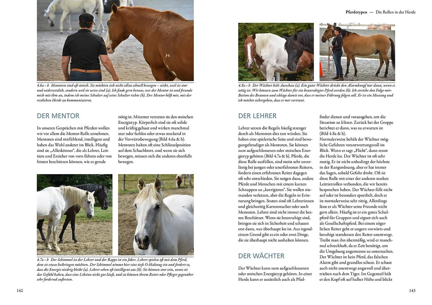 Bild: 9783440170632 | Sprachkurs Pferd - Das Trainingsbuch | Sharon Wilsie | Buch | 312 S.