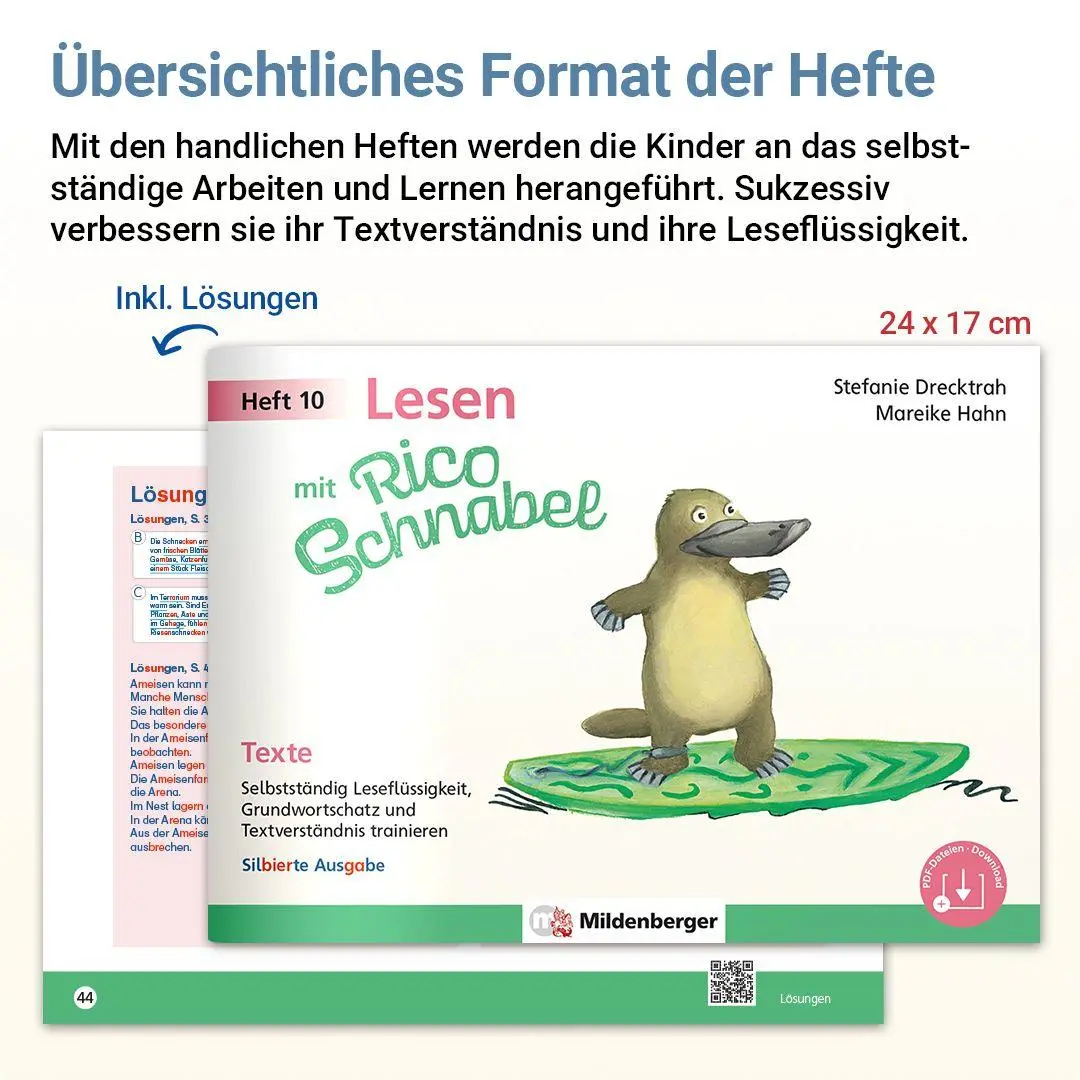 Bild: 9783619220632 | Lesen mit Rico Schnabel, Heft 10: Texte - silbierte Ausgabe | 48 S.