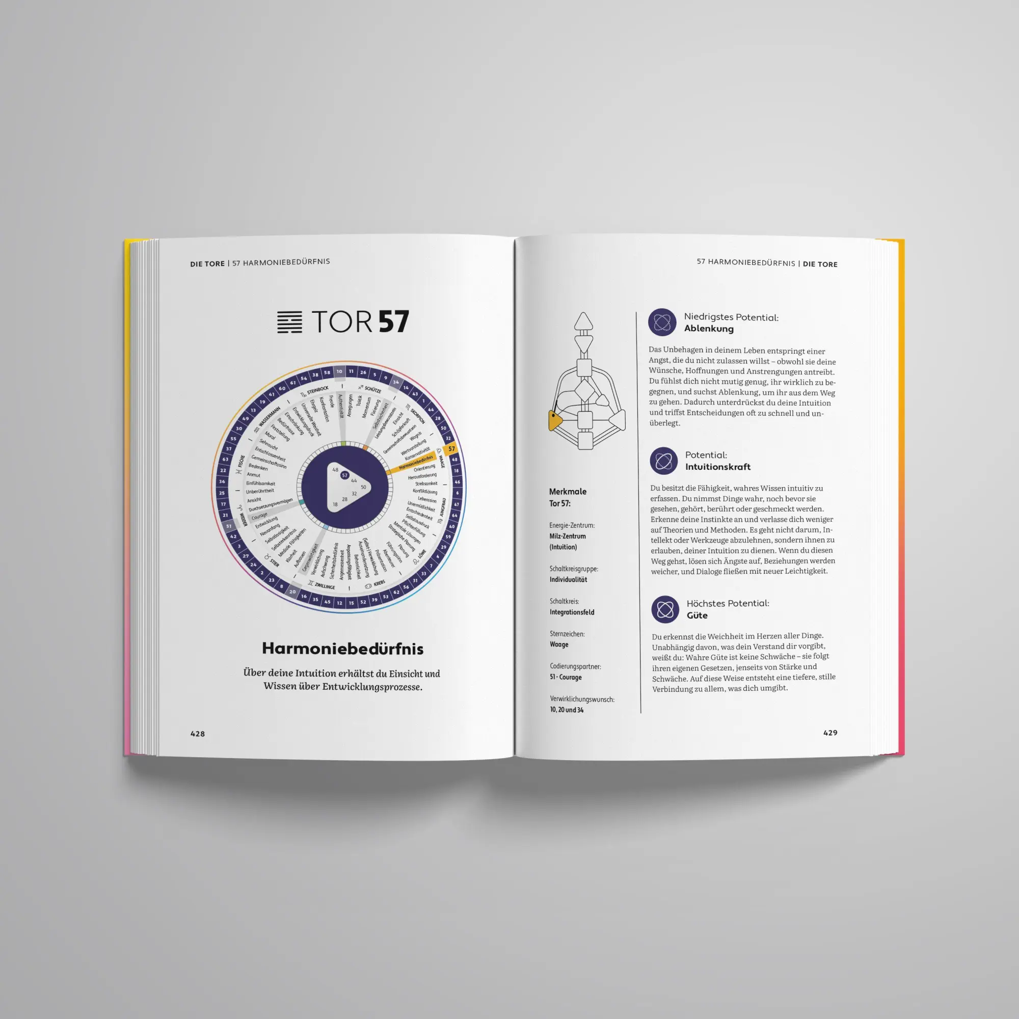 Bild: 9783689690632 | Wofür du hier bist | Ibrahim Evsan (u. a.) | Buch | 512 S. | Deutsch