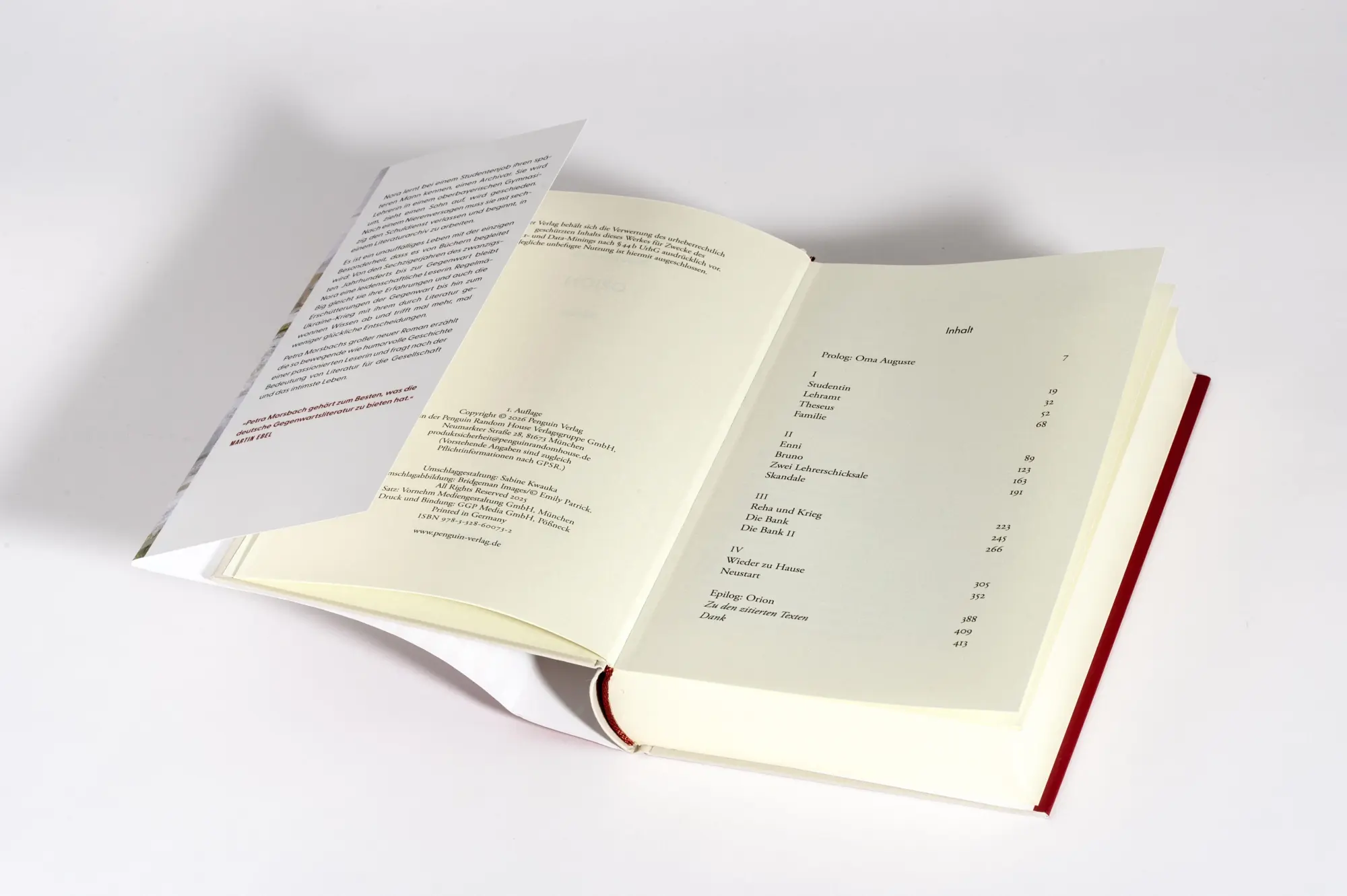 Bild: 9783328600732 | Orion | Roman - Platz 1 der SWR-Bestenliste | Petra Morsbach | Buch