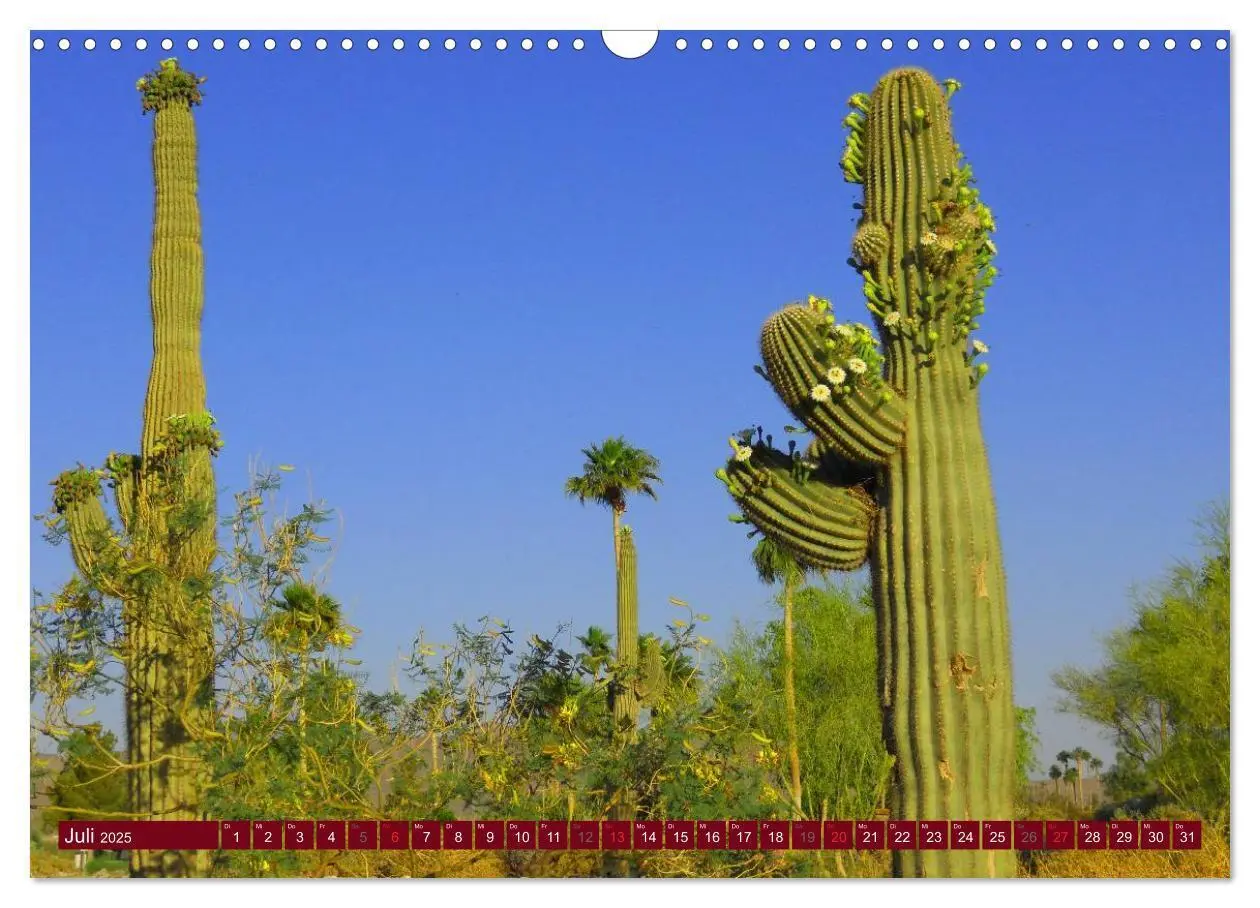 Bild: 9783435740932 | Arizona - Impressionen (Wandkalender 2025 DIN A3 quer), CALVENDO...