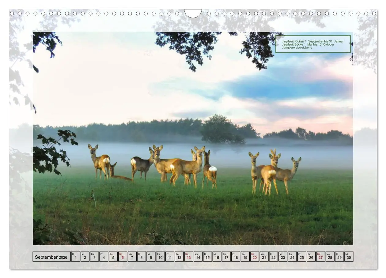 Bild: 9783457520932 | Deutsches Jagdwild - Waidmannsheil (Wandkalender 2026 DIN A3 quer),...